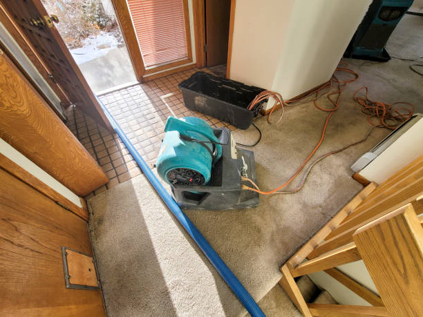 Best Water damage cleanup near me  in Kohler, WI