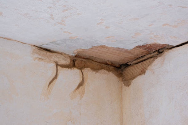 Carpet water damage restoration in Kohler, WI